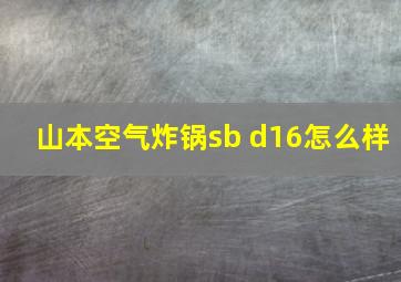 山本空气炸锅sb d16怎么样